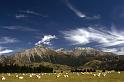 RWT 0041 037-34 New Zealand